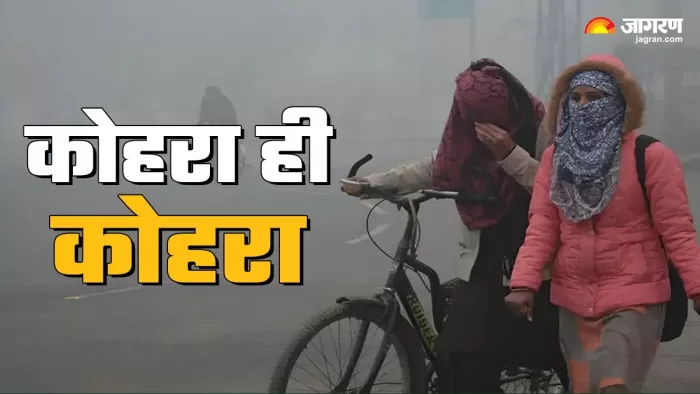 Weather Update: दिल्ली से लेकर जम्मू तक कोहरे का अटैक,कई शहरों में विजिबिलिटी जीरो; ट्रेन-फ्लाइट भी लेट - Weather Update Fog from Delhi to kashmir temp in minus in many cities trains and flights delayed