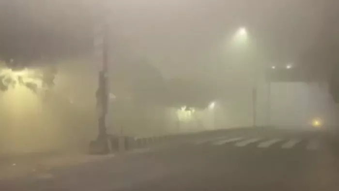 Weather Update: घने कोहरे की चादर में लिपटा दिल्ली-NCR, रफ्तार पर लगा ब्रेक; कई ट्रेनें और फ्लाइट लेट - Delhi-NCR wrapped in dense fog brakes applied on speed of vehicles Many trains and flights also late