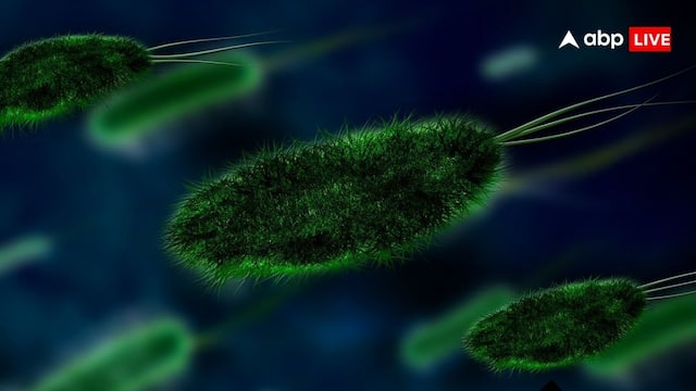 'तुरंत रिपोर्ट करें, अलर्ट पर रहें अस्पताल', चीन में HMPV वायरस का कहर, चौकन्नी हुई दिल्ली