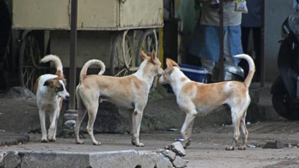 Mumbai: Neighbours clash over barking dog leads to assault in Thane