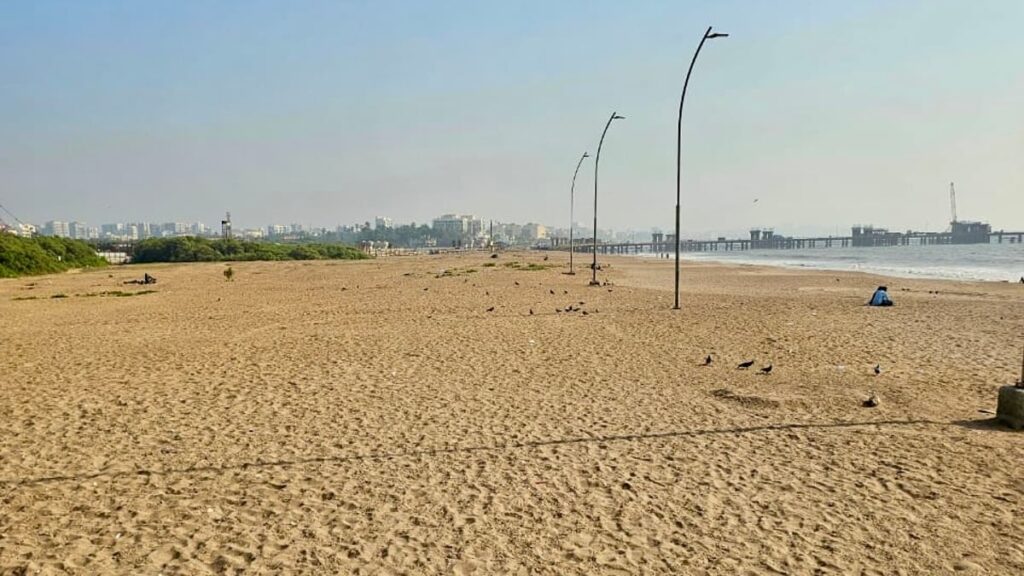 Finally free from farms and encroachments! Community action breathes new life into Andheri Beach