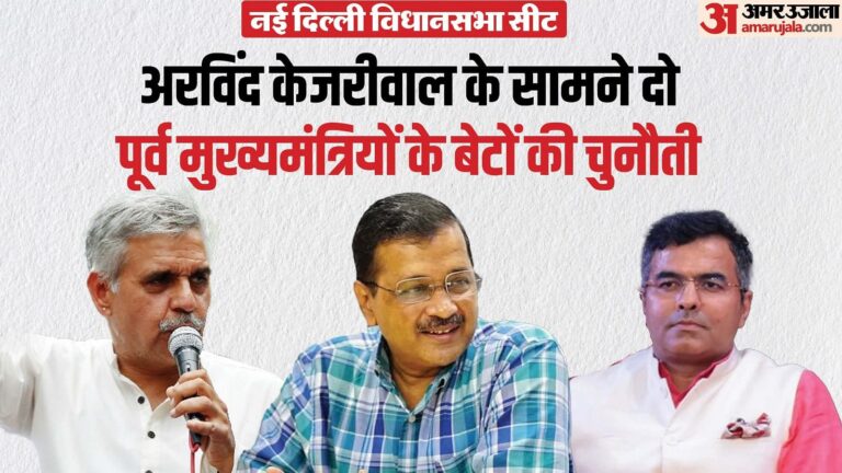 Delhi Election: हॉट सीट नई दिल्ली पर त्रिकोणीय मुकाबला, तीनों उम्मीदवारों के बायोडाटा में 'मुख्यमंत्री' शब्द