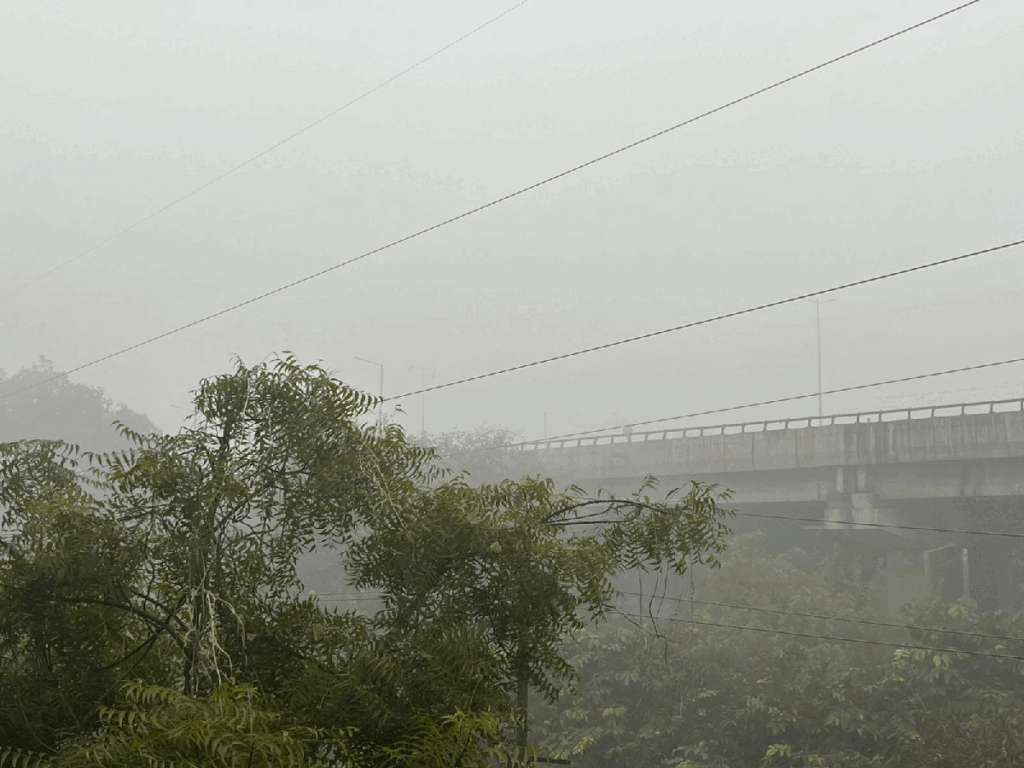 Delhi Fog: प्रचंड ठंड और घना कोहरा, सुबह-सुबह सबकुछ 'गायब, दिल्ली-एनसीआर में मौसम ले रहा गजब फिरकी