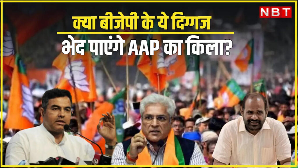 Delhi Election: क्या इन दिग्गजों के जरिए आप का किला भेद पाएगी बीजेपी? दिल्ली चुनाव के लिए पार्टी की रणनीति समझिए